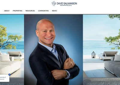 David Salmanson – Real Estate Agent Website