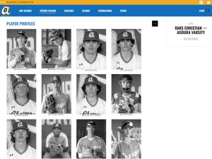 sports team website for high school baseball